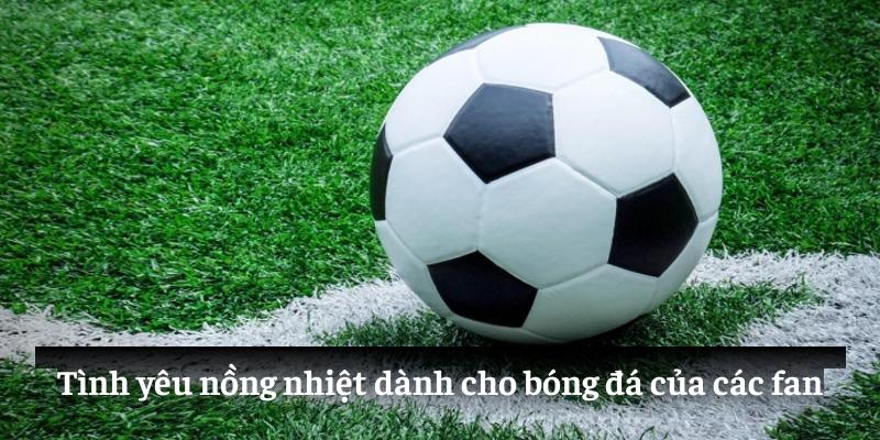 Tình yêu nồng nhiệt dành cho bóng đá của các fan